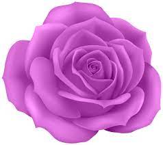 Rose Purple Clip Art Png Image Flower Background Iphone Flower Png Images Beautiful Flowers Images