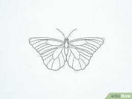 Who would have believed that such beautiful creatures as butterflies belong to the same species as those that are feared by most people? How To Draw A Butterfly With Pictures Wikihow