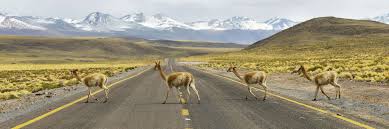 The cheapest way to get from argentina to chile costs only $86, and the quickest way takes just 15¾ hours. Chile Argentina Driving Vacations Chile Argentina Guides Audley Travel