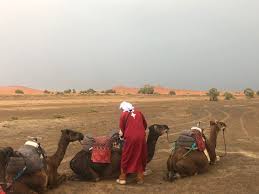 The first day starts with your arrival and our meeting at a certain agreed point. Erg Chebbi Camel Trek Camp 80 1 2 8 Updated 2021 Prices Campground Reviews Merzouga Morocco Tripadvisor