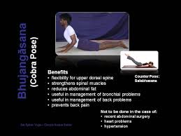 Classic Asana Series Bhujangasana Cobra Pose There Is Much Confusion Between This Pose And Upward Facing Dog Yoga Institute Lower Back Muscles Yoga Asanas
