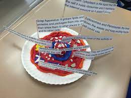Edible cell project plant cell project cell model project animal cell project cell project ideas science today science for kids life science but after that, you're set forever. Paper Plate Animal Cell Cell Model Animal Cell Paper Plate Animals