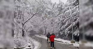 In shimla (airport) today we expect +15.+14 °c, without precipitation, light air. Shimla Weather Cold And Snow Will Return Now The Weather Will Be Worse Again From February 18 Winter Is Not Going To Leave Soon Snowfall And Rain To Return From 18