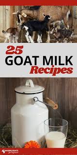 Goat Milk Recipe Book Raising Goats For Beginners Goat Milk Recipes Milk Recipes Goat Milk