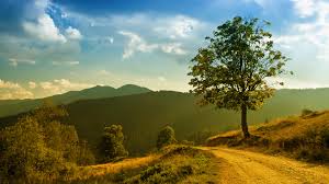 Maybe you would like to learn more about one of these? Best Wallpaper For Download Pixelstalk Net