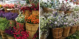 Ebony's flowers & gifts, llc. Flowers Flowers Flowers Carolina Pottery Diy Blog