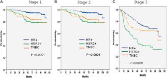 Clinical Relevance Of Tnm Staging System According To Breast Cancer Subtypes Annals Of Oncology