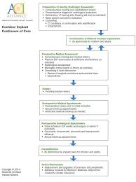 Continuum Of Care American Cochlear Implant Alliance