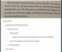 Pin By Lily Kim On Harry Potter Harry Potter Series Harry Potter World Harry Potter Items