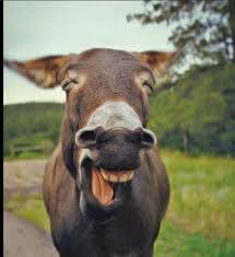 From whence commeth my helpe. Another King James Bible Believer Nkjv Same As Kjb