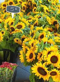 Sunflowers Aix Market Sunflowers And Daisies Flower Market Sunflower