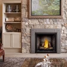 Most of the gas fireplaces that cost between $350 and $800 are inserts or freestanding portable units. Napoleon Starfire 35 Top Vent Propane Gas Fireplace Hdx35nt W175 0407
