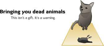 A dog killing a cat is surely something unpleasant to witness and a very unfortunate we will take a closer look at some potential causes and tips on how to deal with the question: How To Tell If Your Cat Is Plotting To Kill You The Oatmeal