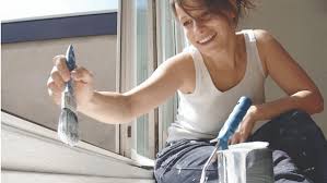 We will make recommendations concerning the control measures required and then work within authorised limits to deal with the problem immediately. Pest Control Clarion