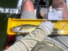 Wytinck wins the E & J Pelican Lake Walleye Tournament