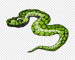 Snake vipers ball python drawing sketch, snake, brown and black snake png clipart. Vipers Kingsnakes White Snake Drawing Snake Animals Scaled Reptile Terrestrial Animal Png Pngwing