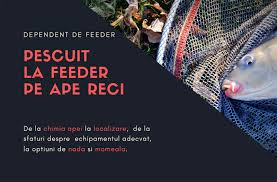 Închiriere apartamente și camere pe termen lung în moldova. Pescuit La Feeder Pe Apa Rece Informatii Actualizate Pentru 2019 Dependent De Feeder