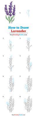 Maybe you would like to learn more about one of these? How To Draw Lavender Really Easy Drawing Tutorial