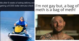 An Xxl Dump Of Tiger King Memes Just As Extreme As Joe Exotic Himself Funny Gallery
