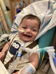 Gina Bohn's Instagram, Twitter & Facebook