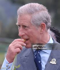 4,049 Royal Vegetables Stock Photos, High-Res Pictures, and Images