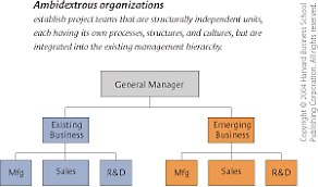 The Ambidextrous Organization