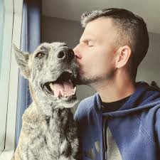 The Missing Link Dog Training : Who Is This Ben Guy Anyways?!