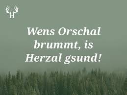 Wenns Orschal Brummt Is Herzal Gsund Bayerische Sprichworter Zum Pinnen Und Sammeln Egal Ob Wort Spitzname Bayrische Spruche Bayerische Spruche Spruche