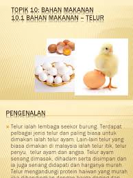 Daya tetas telur ayam jauh lebih stabil sehingga bisa menghasilkan telur ayam berkualitas. Topik 10 Telur