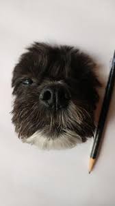 I Saw Someone Draw A Super Realistic Cat So I Swung It And Drew A Dog More Pets Cat Dog Draw Drew P Realistic Art Painting Art Projects Animal Art