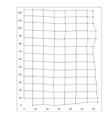 Image result for Leptonychia tokana