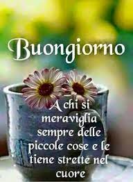 Ef72f848181de8a5f3cbf12663892555 Jpg 480 654 Buongiorno Buona Giornata Buongiorno Amore