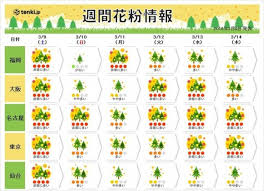 週間 花粉 情報 今がピーク 非常に多い 続出も Tenki Jp スギ花粉は 全国的にピークを迎えています ｄメニューニュース Nttドコモ