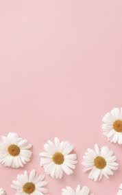 Like if saving please ✧. Pastel Pink Tumblr Iphone Wallpapers Top Free Pastel Pink Tumblr Iphone Backgrounds Wallpaperaccess