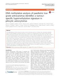 Jun 16, 2021 · il nome di denise esposito circolava in realtà da diverso tempo. Pdf Dna Methylation Analysis Of Paediatric Low Grade Astrocytomas Identifies A Tumour Specific Hypomethylation Signature In Pilocytic Astrocytomas