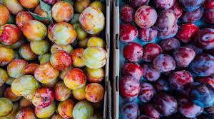 Wonderfully delicious and juicy, plums botanically belong to the rosaceae family of drupe fruits in the genus, prunus. Plum A Delicious Fruit