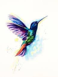 Bird A La Mode Reddit 2020 Ahnliche Artikel Wie Kolibri Aquarell Fine Art Print Vogel Bild Kinderzimmer Poster Humingbird Watercolor Bird Art Bird Drawing Animal Art Giclee Print A In 2020 Bird Art Bird Drawings Bird Illustration