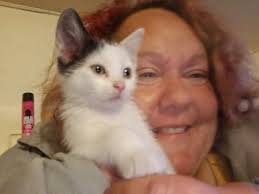 Contributions to the tribute of Lisa Marie Pineo