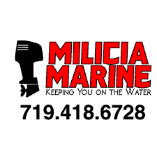 Image result for Milicia