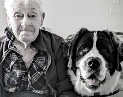 Willow has been a great asset to the Therapy Saint team 🙂 Morris is a  resident in his 90s at Lundy Manor and we always make a visit up to his  room.