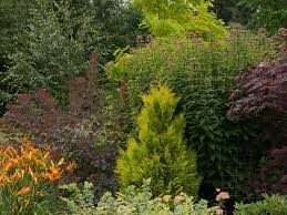 Pin On Gardens And More