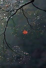 Pin On Isn T It Lovely