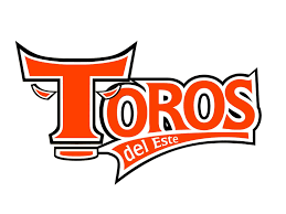 Resultado de imagen para LICEY Y TOROS