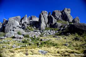 A altitude da sede urbana do município de itatiaia é de 505 metros, no entanto atinge 2.791,55 metros. Itatiaia National Park National Park In Minas Gerais Thousand Wonders