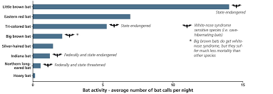 Bat Population Monitoring At Booker T Washington National