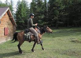 Horse Riding Mongolia One Day Trail Rides Stone Horse Mongolia Trail Riding Horses Horse Riding