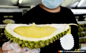 Durian ialah buah yang menjadi kegemaran rakyat malaysia. 7 Mitos Tentang Makan Durian Fakta Atau Auta Free Malaysia Today Fmt