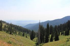 Horse creek area, shoshone national forest. Pin On Photos