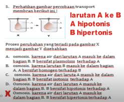 Gejala tersebut dapat terjadi karena. Wety Yuningsih 06 28 21