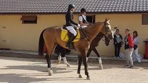 Daire 1 banyo, balkon ve mutfaktan oluşmaktadır. Cmsn ConstanÈa Home